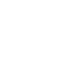fefco-0421